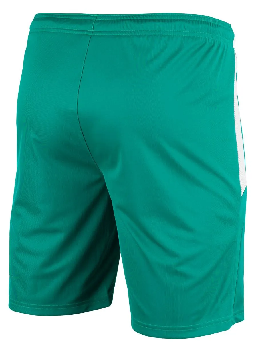 PUMA Sport-Set T-shirt Kurze Hose teamLIGA Jersey 704917 05/704924 05